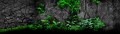01_preview_stone&plants.jpg