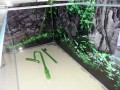 20170601_190641.jpg