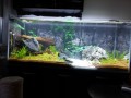 20170627_211607_1_bestshot.jpg