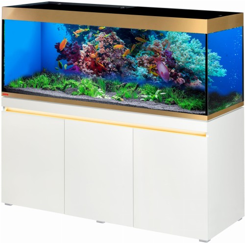coral.jpg
