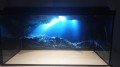 05 uderwater_CAVE.jpeg